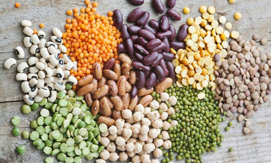 Can Dogs Eat Beans? Types, Benefits, and Serving Tips