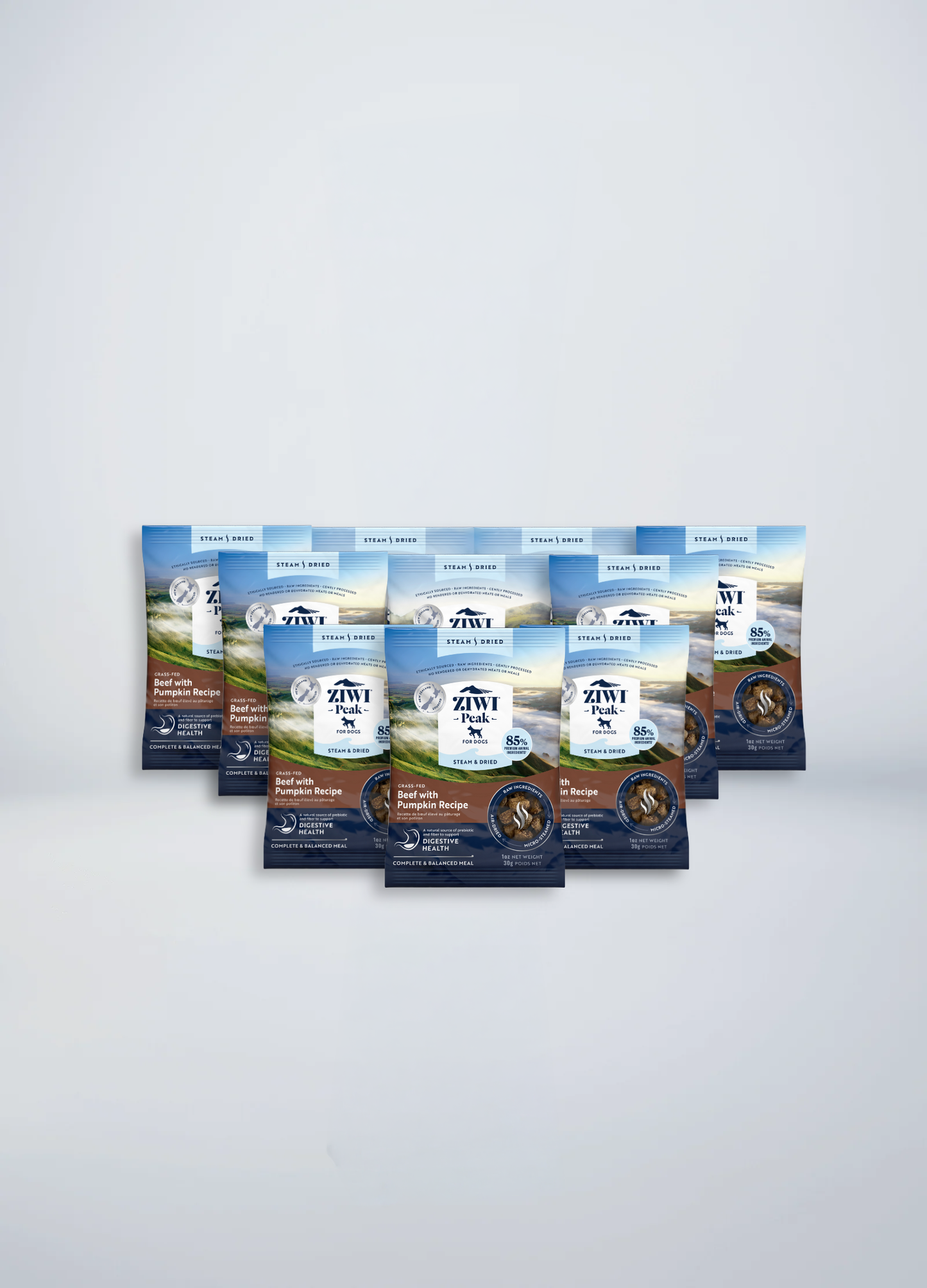 Steam & Dried Beef with Pumpkin Sample for dogs 10 x 30g