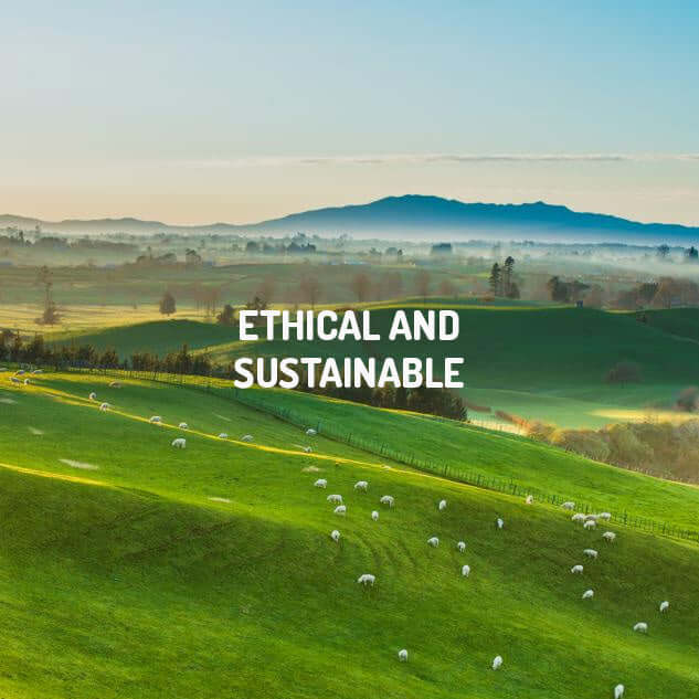 ETHICAL AND SUSTAINABLE
