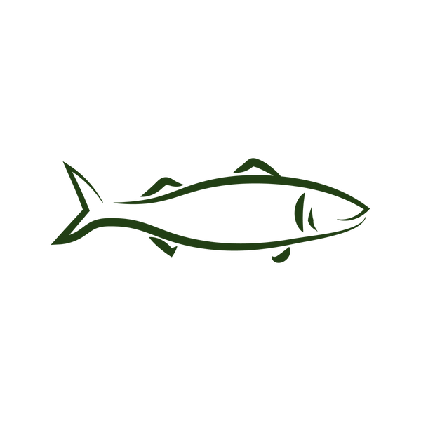 Steam & Dried Illustrations - Mackerel_Green.png