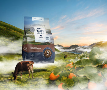 ZIWI Peak Steam Dried Dog Beef - Pumpkin Hero 3D Landscape Cropped_medium (1).jpg