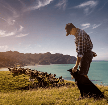 Man Showing His Dog Where His Pets Food Comes From