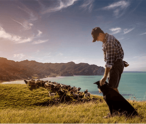 Man Showing His Dog Where His Pets Food Comes From